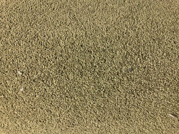 Axminster Devonia Green Roll End 5.35 x 4.00